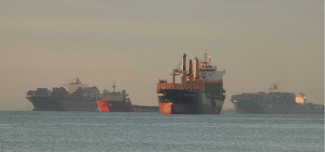 硬件故障！休斯頓港倆碼頭癱瘓ing....