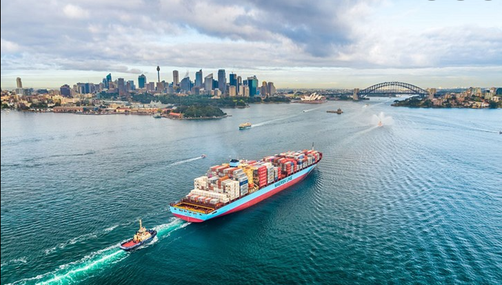 貨代要涼涼？航運公司正建立客戶數(shù)據(jù)庫，以徹底甩開代理商！