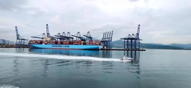 無視疫情影響！深圳鹽田港上半年集裝箱吞吐量仍增長21%！