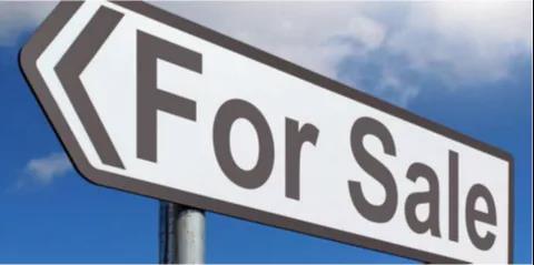 瞠目結(jié)舌！巴拿馬型船市場價暴漲200%