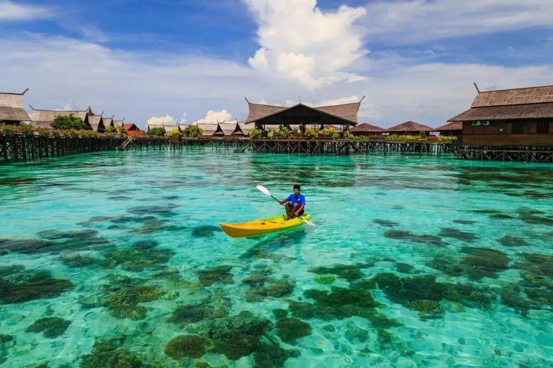 揪心！Delta變異毒株肆虐亞洲，印尼、馬來(lái)西亞、越南、韓國(guó)等多國(guó)確診創(chuàng)新高