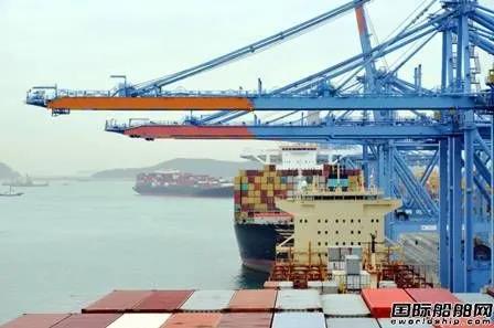 沒有集裝箱船就用漁船運貨？韓國出口商真的急壞了