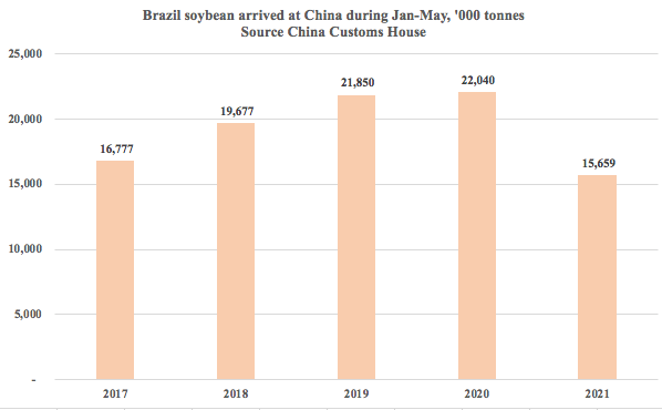 巴西上半年進出口暴漲！航運人關(guān)心的數(shù)據(jù)全在這里了