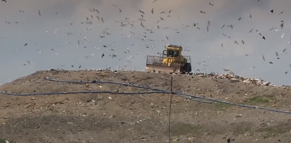 現(xiàn)場曝光！數(shù)百萬件全新商品被亞馬遜當(dāng)垃圾銷毀，包括上萬元的蘋果電腦！