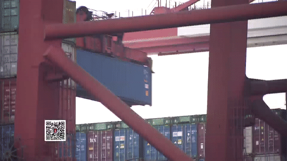 洋山港一集裝箱內(nèi)查獲265公斤價(jià)值1.5億毒品，物流公司差點(diǎn)背鍋