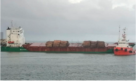 提醒！原木大量散落，該港口暫時關(guān)閉！