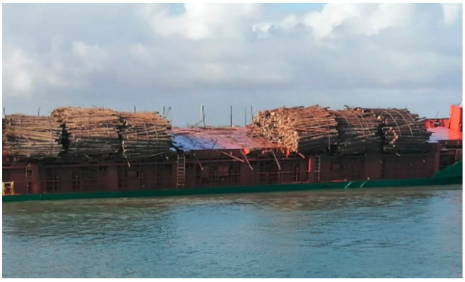 提醒！原木大量散落，該港口暫時關(guān)閉！