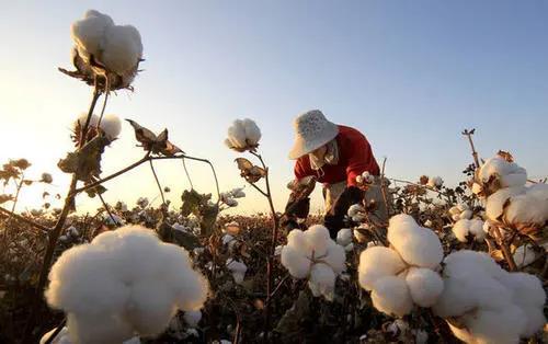 印度疫情失控，歐美大量紡織服裝訂單轉(zhuǎn)移到中國