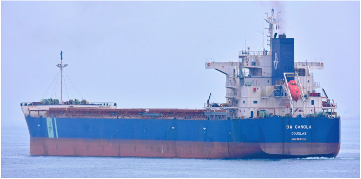 BW用了5年的散貨船, 轉(zhuǎn)手賺了600萬！今年一季度二手船交易量創(chuàng)紀(jì)錄