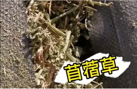 貨代貨主注意！海關嚴查，嚴禁空箱夾帶！