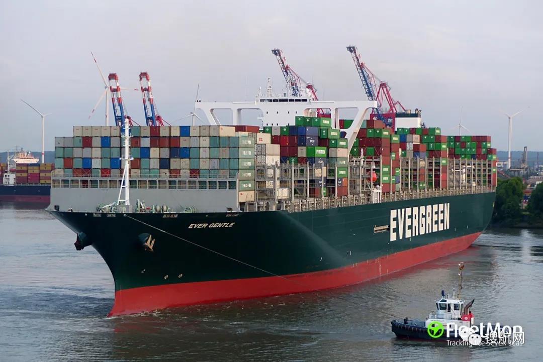 事故丨MSC一大型箱船與碼頭發(fā)生碰撞；長(zhǎng)榮又一箱船遭遇事故