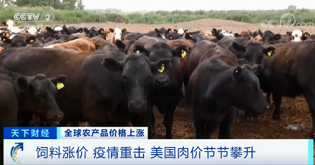 高粱大漲82.1％、玉米大漲45.5%！全球糧食危機(jī)風(fēng)險(xiǎn)加劇