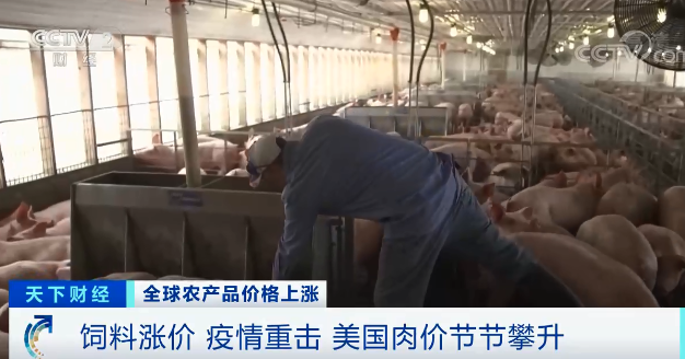 高粱大漲82.1％、玉米大漲45.5%！全球糧食危機(jī)風(fēng)險(xiǎn)加劇