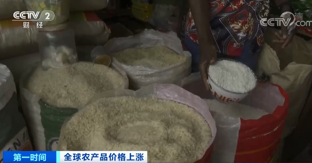 高粱大漲82.1％、玉米大漲45.5%！全球糧食危機(jī)風(fēng)險(xiǎn)加劇