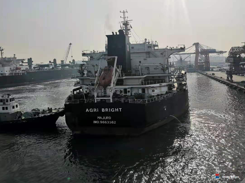 壯觀！該航運(yùn)公司3艘船同框、同港、同碼頭卸糧作業(yè)?。? 