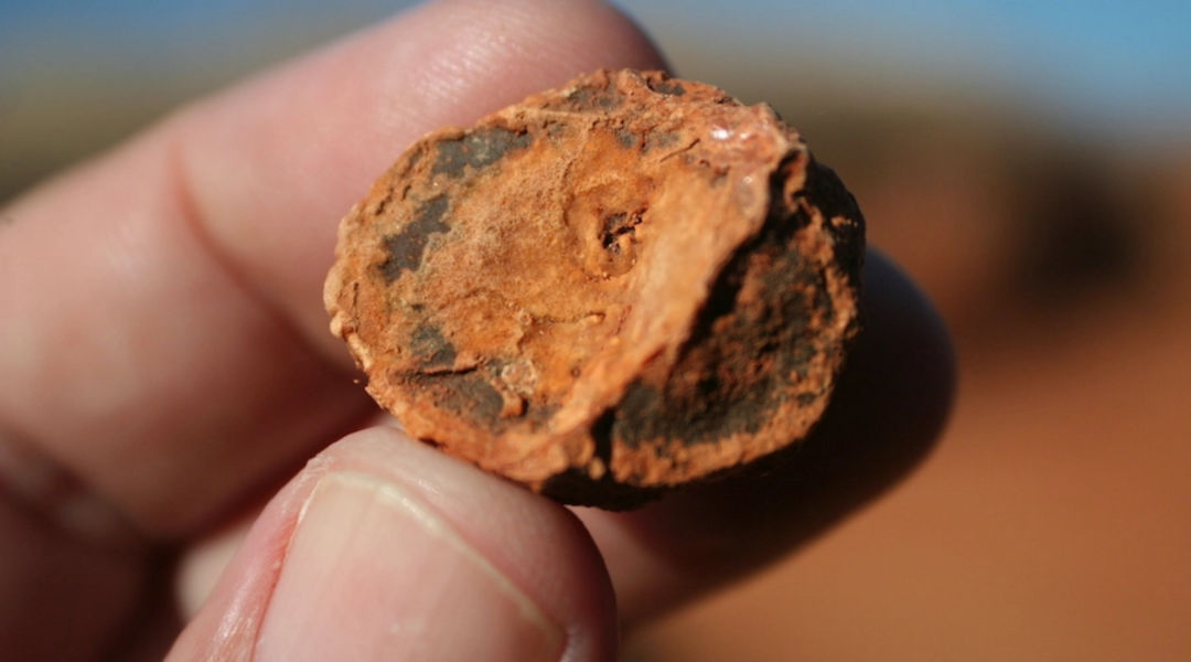 傳統(tǒng)礦企爭(zhēng)相布局新能源礦產(chǎn) 海運(yùn)市場(chǎng)或迎來(lái)新一波高峰