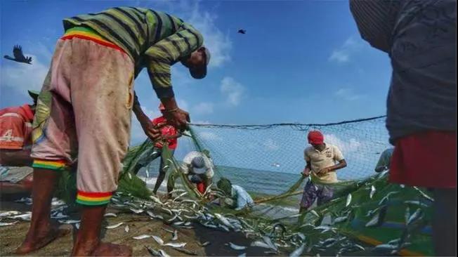 1000個(gè)集裝箱被拒絕接收！