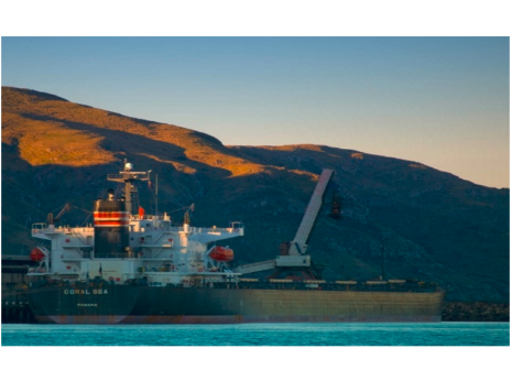 中國鐵礦石進(jìn)口強(qiáng)力拉動(dòng)國際干散貨