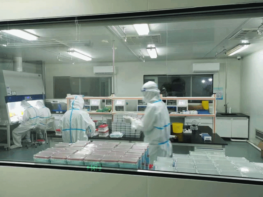 馬士基宣布這一航線8月停止掛靠寧波舟山港；達(dá)飛也有16個(gè)航次受影響