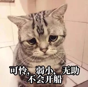 預(yù)提費(fèi)落箱費(fèi)，天價(jià)運(yùn)費(fèi)再加雜費(fèi)！開港晚截單早，心力交瘁等船到廢！