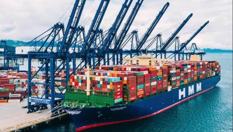 超一半HMM船員辭職，MSC雇用?THE聯(lián)盟損失5.8億$，釜山港遭遇危機