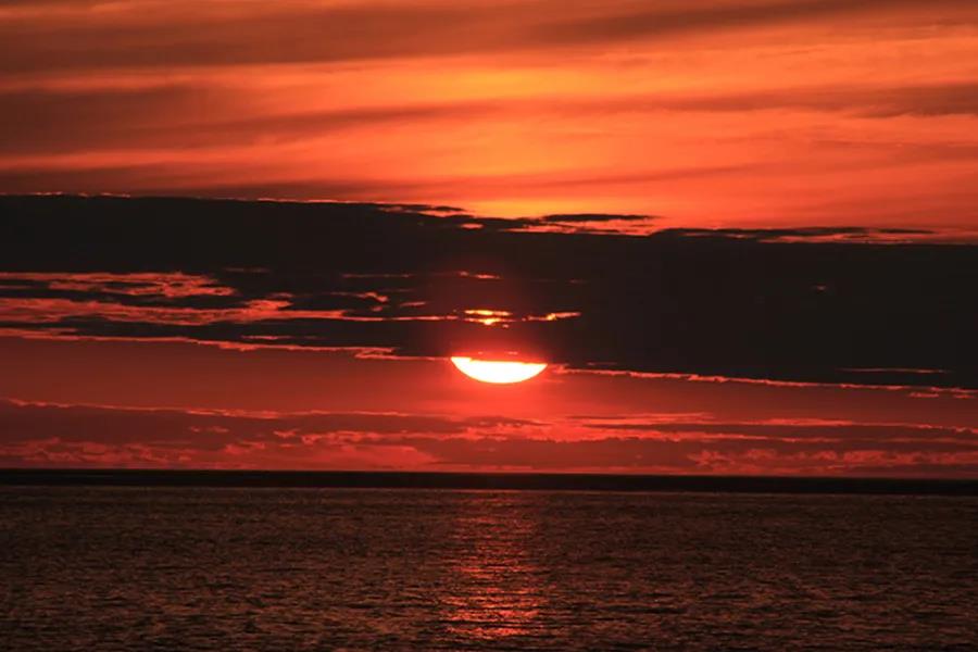 托運人如何在下一年度改善海運招標和采購
