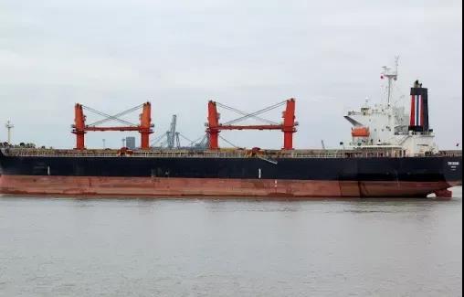 膽大！一貨輪明明15人染疫, 卻謊報(bào)無疫申請通行！香港“熔斷機(jī)制”或擴(kuò)展至船務(wù)公司