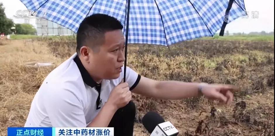 這貨大規(guī)模漲價(jià)！漲幅達(dá)200%！“有錢也拿不到貨”？！怎么回事？