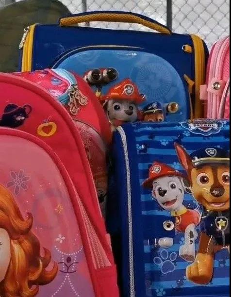 海關(guān)嚴(yán)打侵權(quán)！這些產(chǎn)品出口被查獲