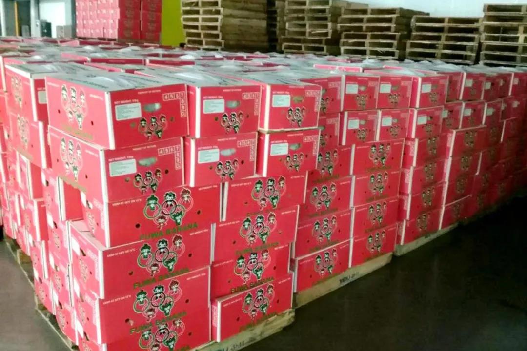 海關(guān)嚴(yán)打侵權(quán)！這些產(chǎn)品出口被查獲