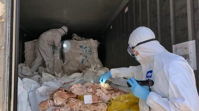 29個(gè)集裝箱！廣東海警破獲特大走私案，案值約6000萬(wàn)元