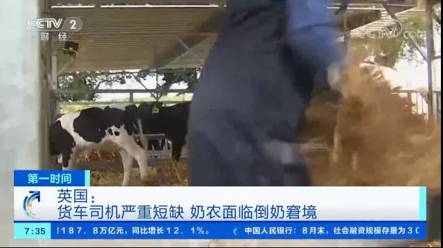 預(yù)警！急缺卡車司機(jī)，年收入48萬，仍缺10萬人？貨物大延誤，供應(yīng)鏈危機(jī)仍在沖擊全球市場！