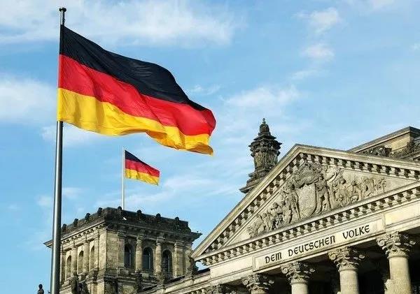 英國脫歐后遺癥來了！豬沒人殺，菜沒人摘，貨車沒人開，牛奶只能倒掉了...