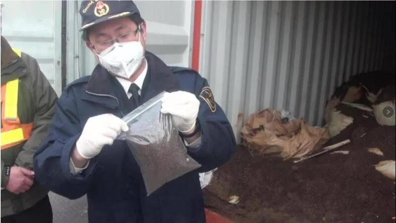 集裝箱剛從英國出發(fā)就被盯牢，滯港18年仍被退運…