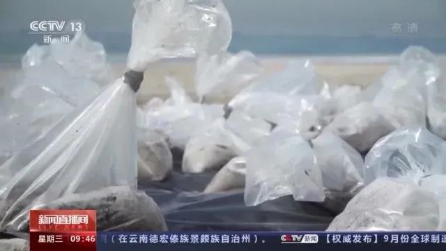 HPL箱船是“肇事者”？嚴(yán)重失職！瞞報近24小時，12小時無人阻止泄漏