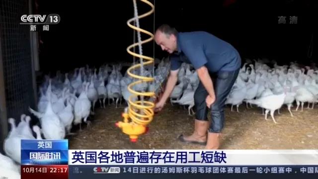 大量貨物堆積港口，這些地方深陷供應(yīng)鏈危機