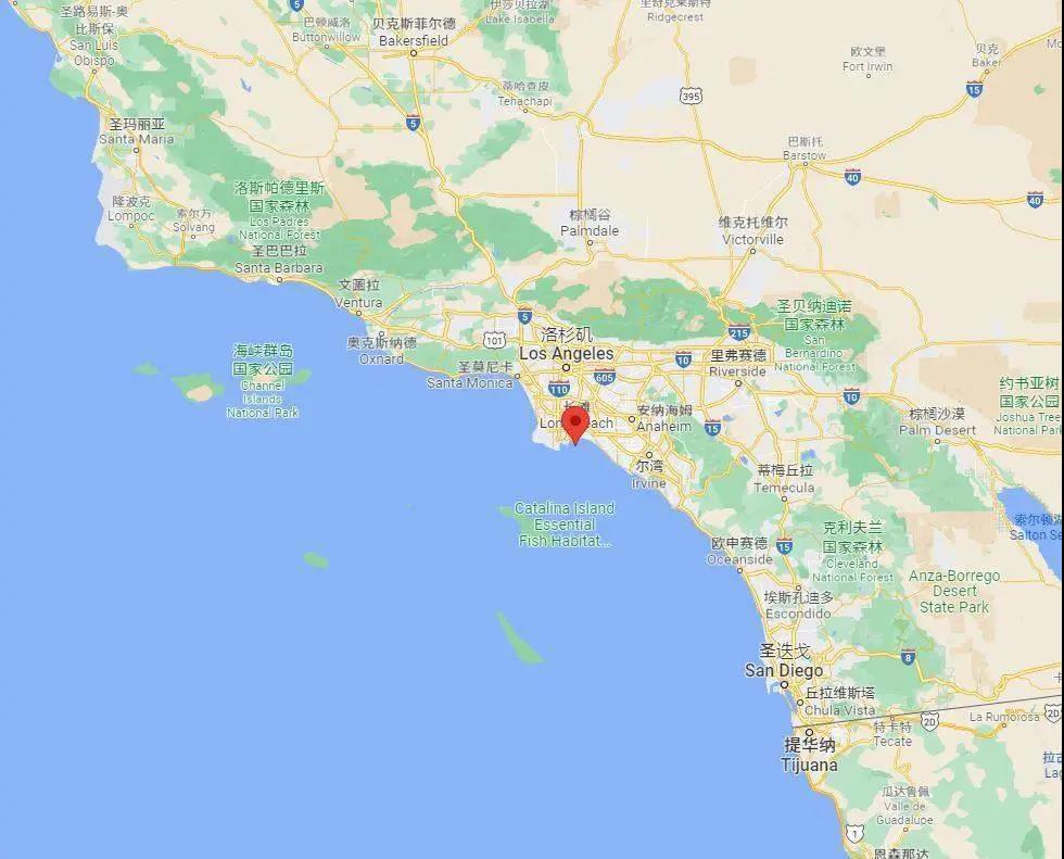 美國物流公司：倆港只有7臺起重機在動，塞船比雷曼危機還糟