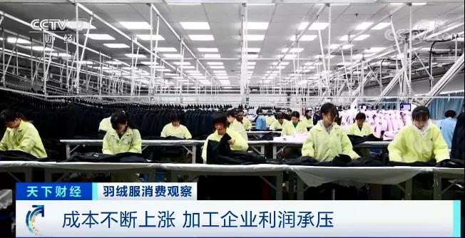 漲漲漲！這種原材料，50萬元一噸！漲幅高達(dá)102%！成本不斷上漲，加工企業(yè)利潤承壓！