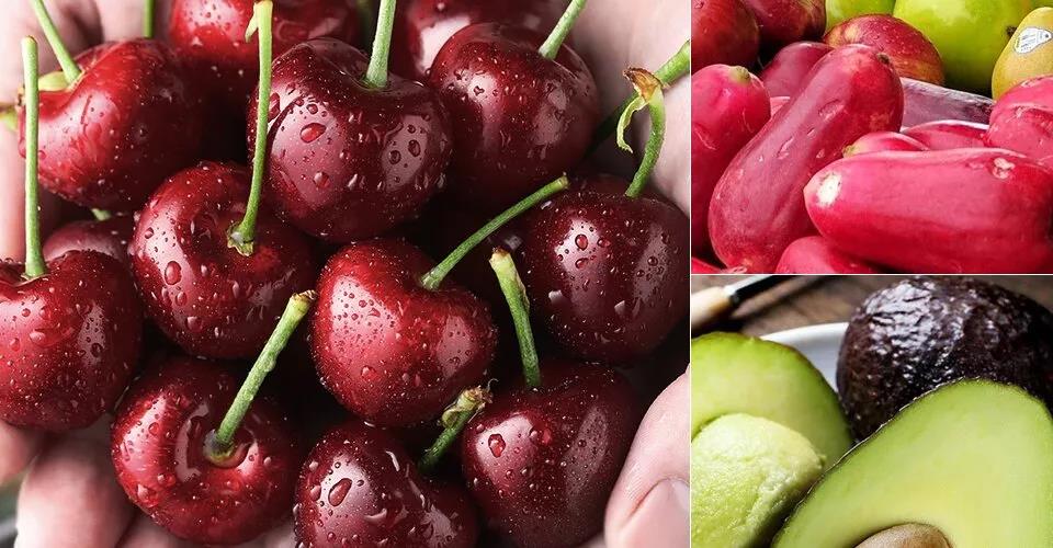 去墨西哥、智利、阿根廷等南美國家的干凍柜運費只要8千多美金！什么是干凍柜？