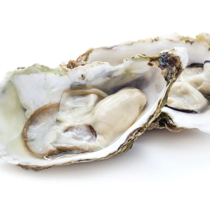 常見海鮮產(chǎn)品規(guī)范申報要素歸納