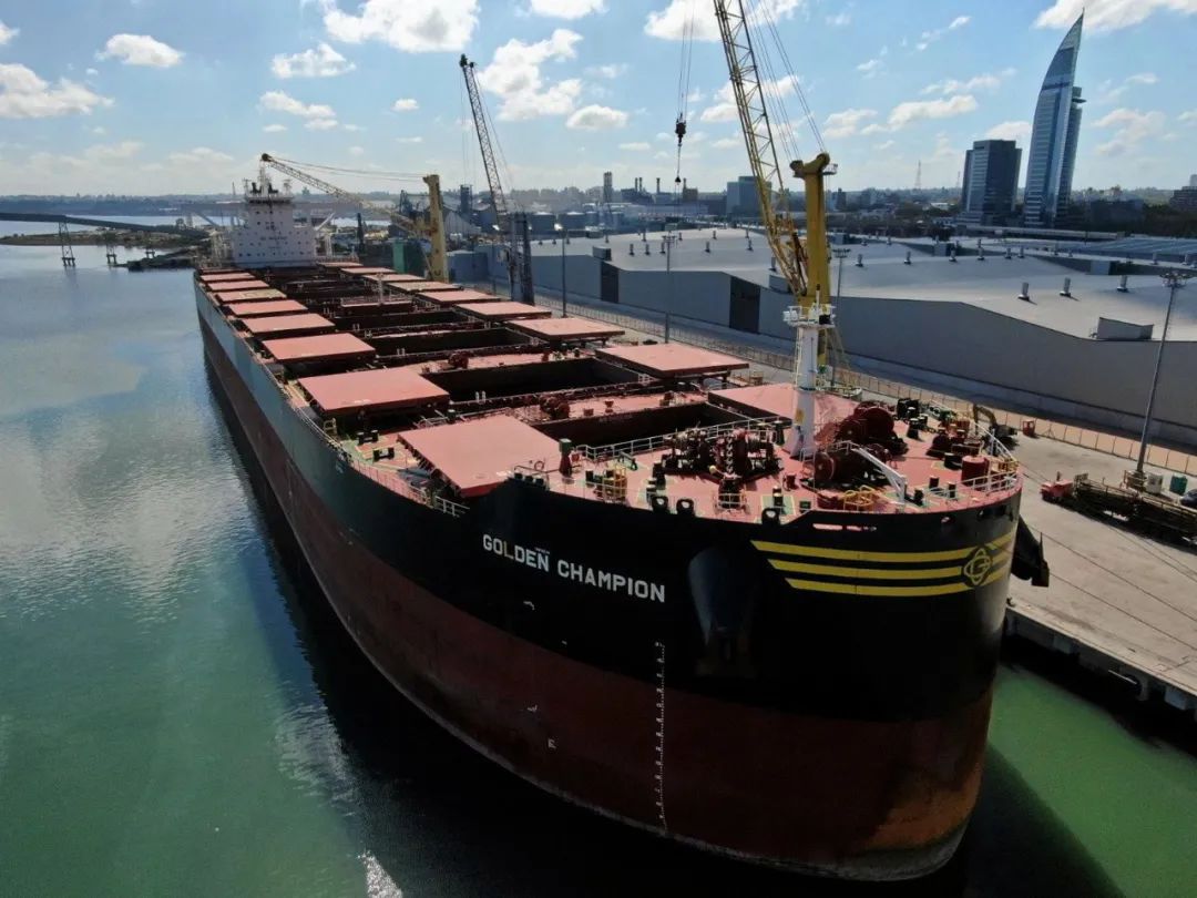 史上首次！20萬噸級Newcastlemax大船裝原木，6月即將抵達(dá)中國