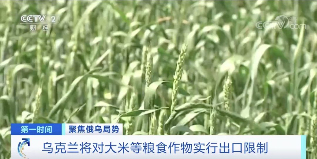 緊急！俄羅斯最大銀行又出事，一半的家庭儲蓄都存在這里！