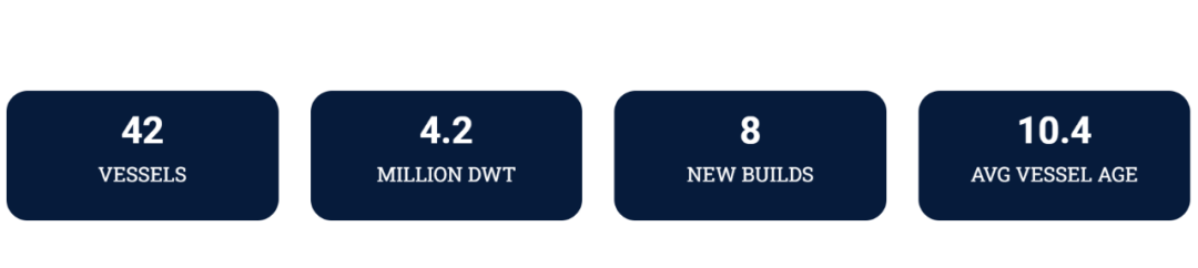 抄底成功！船東買7艘船后大賺
