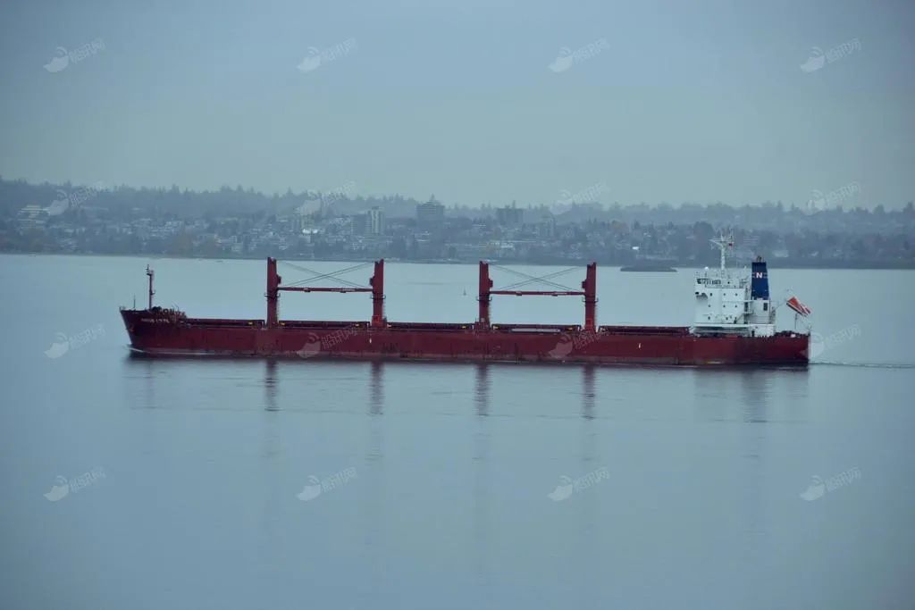 運(yùn)氣差！中國船東才買一艘船，開出去就撞船了