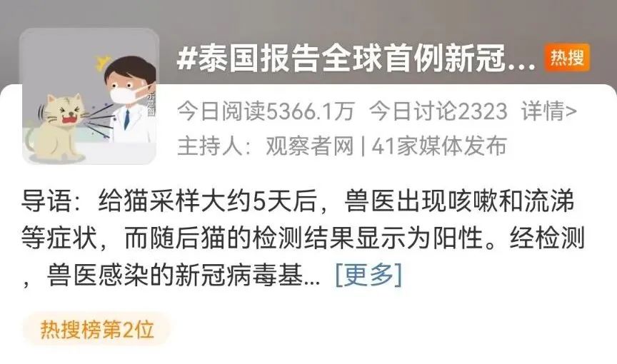 麻煩了！新冠貓傳人？？美國、法國、俄羅斯、新加坡、印度、韓國最新通報??！
