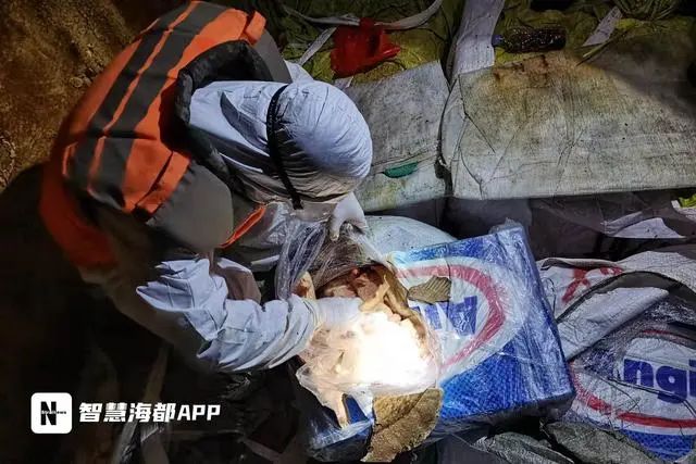 總案值約4000萬(wàn)元！福建海警破獲1起特大走私凍品案