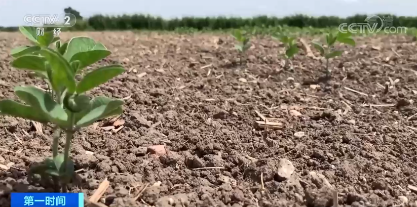 突發(fā)！這個國家宣布：多地進入緊急狀態(tài)！