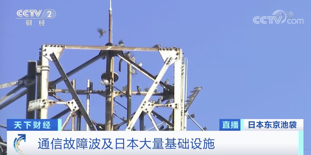 突發(fā)！該國(guó)發(fā)生大面積斷網(wǎng)：報(bào)警電話打不通、不能刷卡、不能取錢…數(shù)百萬人受影響