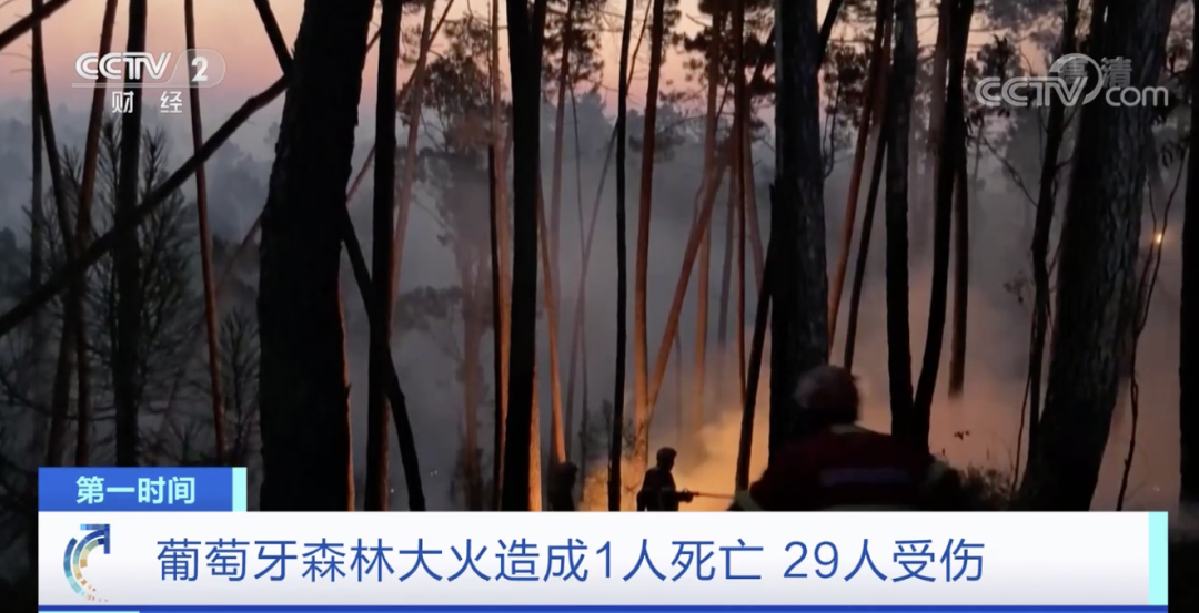 突發(fā)！這一國(guó)家宣布：多地進(jìn)入緊急狀態(tài)！