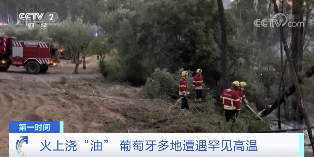 突發(fā)！這一國(guó)家宣布：多地進(jìn)入緊急狀態(tài)！